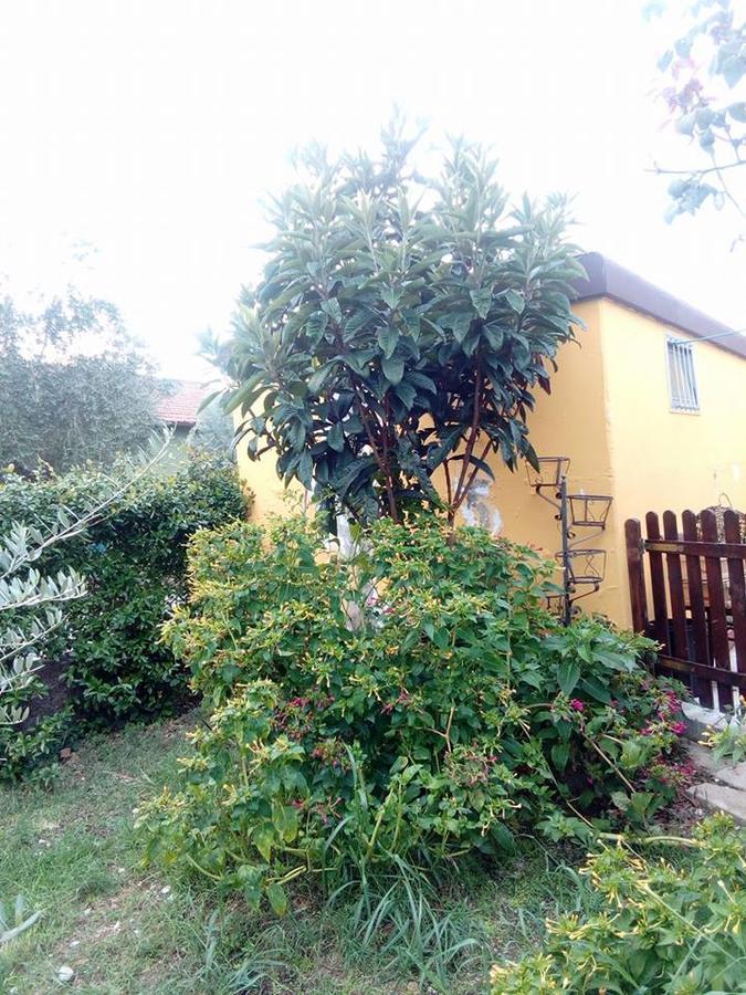 Beb Da Tina Bed & Breakfast Roccasecca ภายนอก รูปภาพ