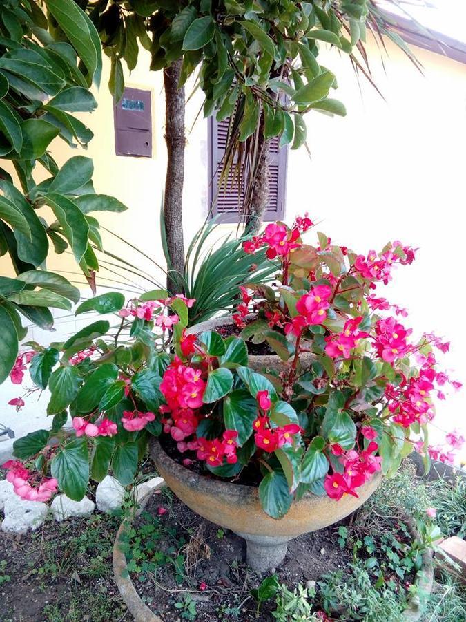 Beb Da Tina Bed & Breakfast Roccasecca ภายนอก รูปภาพ